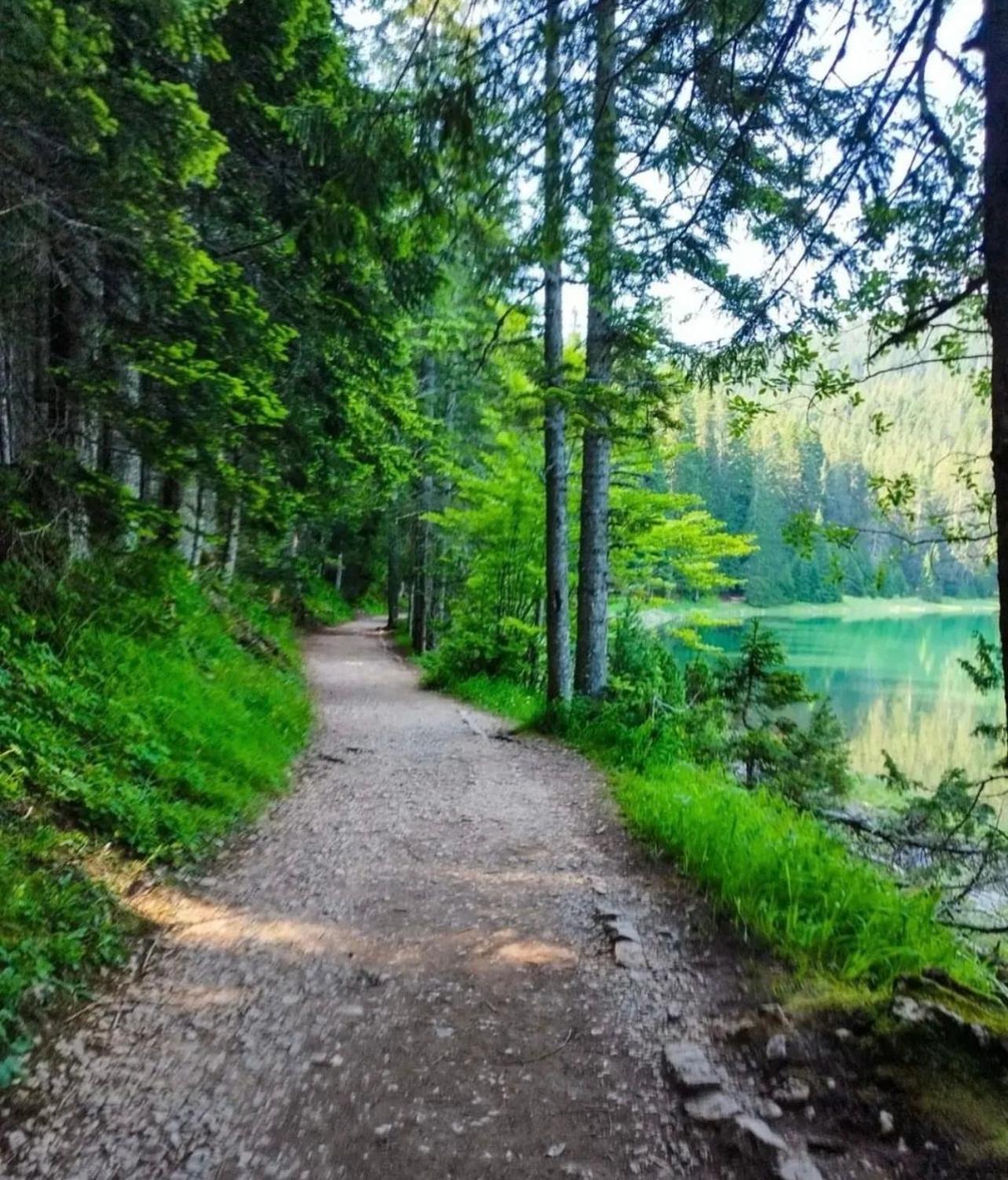 A Frame Houses Ans Zabljak Dış mekan fotoğraf